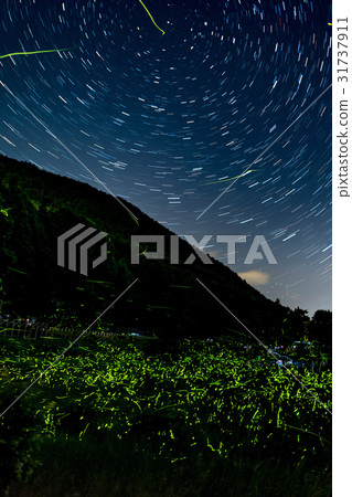 源氏螢火蟲和星星 31737911