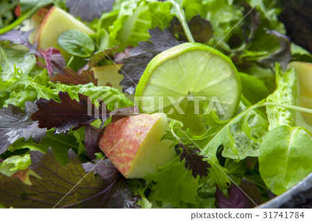 素食,蔬菜沙啦,蔬菜,ベジタリアン料理、サラダ、野菜、lettuce salad 素食,蔬菜沙啦,蔬菜,ベジタリアン料理、サラダ、野菜、lettuce salad 31741784
