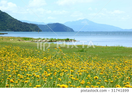 從Okubiwako Keihin花園的看法 31741899