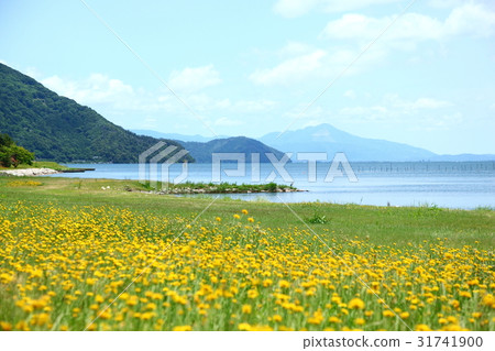 View from Okubiwako Keihin Garden View from Okubiwako Keihin Garden 31741900