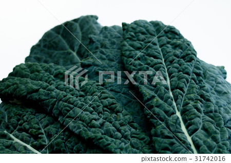 Black cabbage carborona Black cabbage carborona 31742016