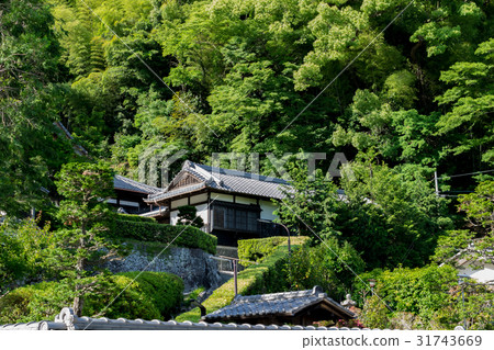 Rikuza寺訓練僧侶(靜岡市) Rikuza寺訓練僧侶(靜岡市) 31743669