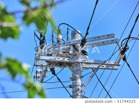 Crow's nest -19780 31744525