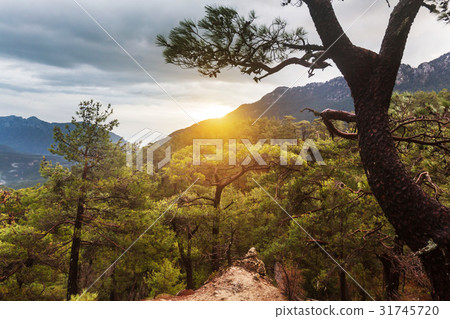 Lycian way Lycian way 31745720