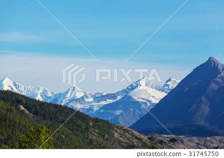 Wrangell Wrangell 31745750