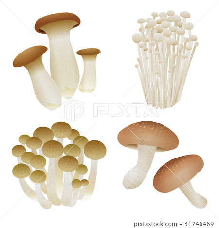 Mushroom mushrooms · Enoki mushrooms · Bunny fish · Shiitake mushrooms 31746469