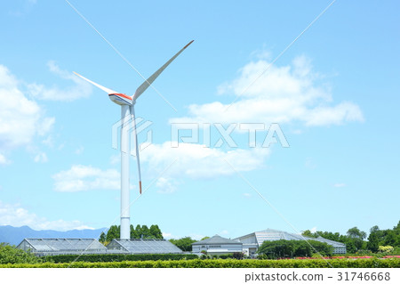 Aquatic botanical garden and wind power generation in Kusatsu-karasumaru peninsula Aquatic botanical garden and wind power generation in Kusatsu-karasumaru peninsula 31746668