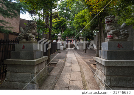 Setagaya walks, Seta 4 chome, Seta Tamagawa Shrine entrance, Guardian dog Setagaya walks, Seta 4 chome, Seta Tamagawa Shrine entrance, Guardian dog 31746683