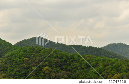 Green Mountain landscape in Sriracha, Chonburi, Thailand Green Mountain landscape in Sriracha, Chonburi, Thailand 31747516