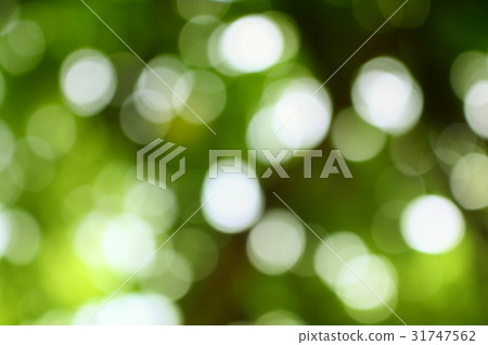 Bokeh natural color background, colorful leaf Bokeh natural color background, colorful leaf 31747562