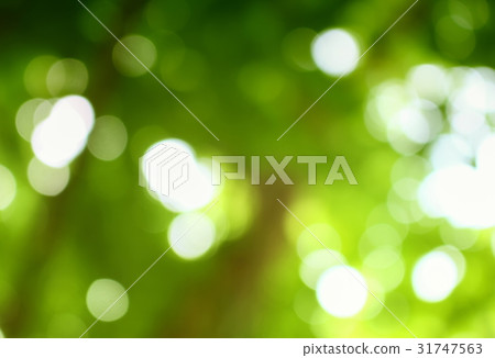 Bokeh natural color background, colorful leaf  31747563