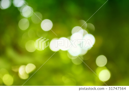 Bokeh natural color background, colorful leaf Bokeh natural color background, colorful leaf 31747564