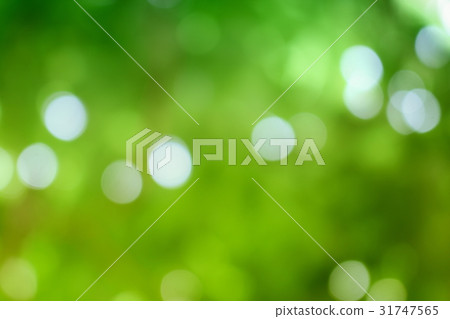 Bokeh natural color background, colorful leaf Bokeh natural color background, colorful leaf 31747565