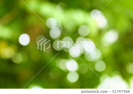 Bokeh natural color background, colorful leaf Bokeh natural color background, colorful leaf 31747566