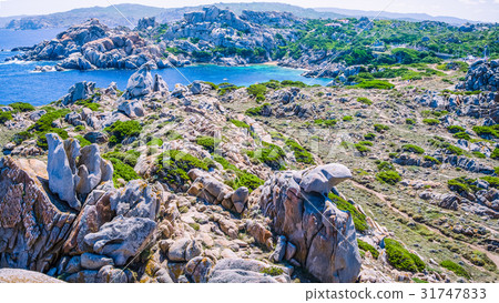 Bizarre granite rock formations in Capo Testa 31747833