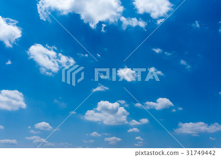 藍天 31749442