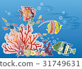 Scenic view of the Red Sea Wind in Okinawa - Tropical Fish and Coral 31749631