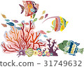 Crimson style Okinawa's sea life - tropical fish and coral 31749632