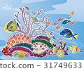 Scenic view of the Red Sea Wind in Okinawa - Tropical Fish and Coral 31749633