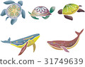 Red-style wind Okinawa's sea life set - Sea turtle / whale 31749639