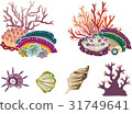 Crimson style sea life set of Okinawa - coral and shellfish 31749641