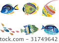 Crimson style ocean biological set of Okinawa - tropical fish 31749642