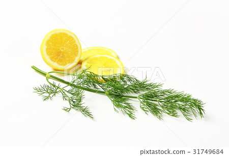 Fresh dill weed 31749684