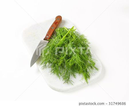 Fresh dill weed 31749686