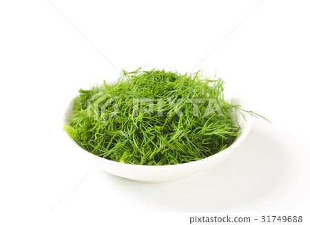 Fresh dill weed 31749688