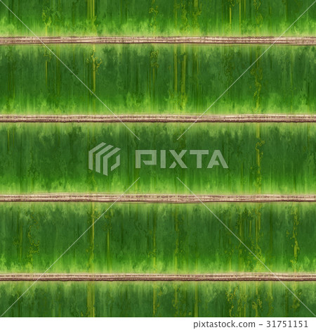 鮮豔細緻的竹子表皮特寫材質紋理背景，俯視圖（無縫接圖，高解析度 3D CG 渲染∕著色插圖 31751151