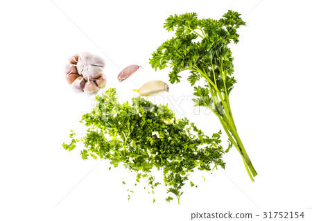 Finely chopped parsley and garlic Isolated on Finely chopped parsley and garlic Isolated on 31752154