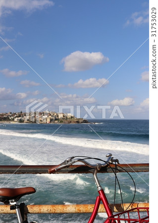 在悉尼邦迪海灘騎自行車 31753029