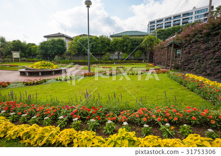 Setagaya walk, Seta 5-chome, Flower land garden inside 31753306