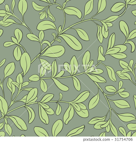 marjoram vector pattern 31754706