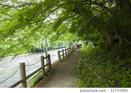 徒步旅行 徒步旅行 31755993