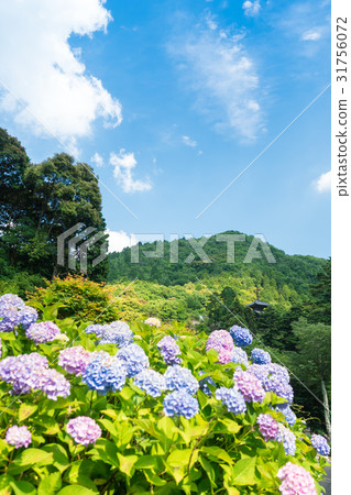 Scenery of Otakiyama Fussa temple in the rainy weather 31756072