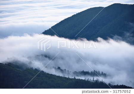 A mountain wrapped in a sea of clouds 31757052
