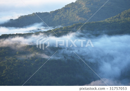 A mountain wrapped in a sea of clouds 31757053