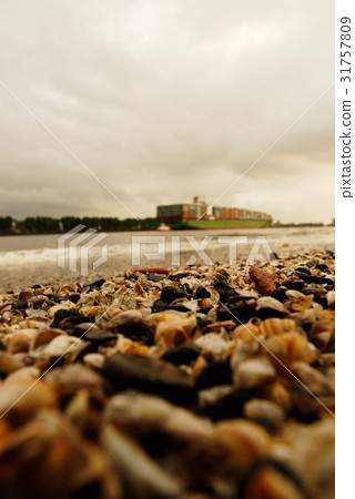 A close up from the ground in the port of Hamburg 31757809