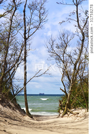 sea, Baltic, beach, coast, boat, sand, coastal 31758278