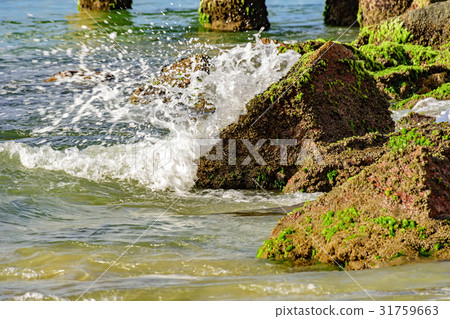 Wave splash on rock 31759663