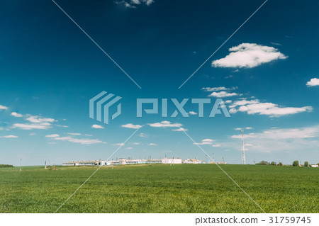 Green Field In Spring Season. Agricultural Rural 31759745
