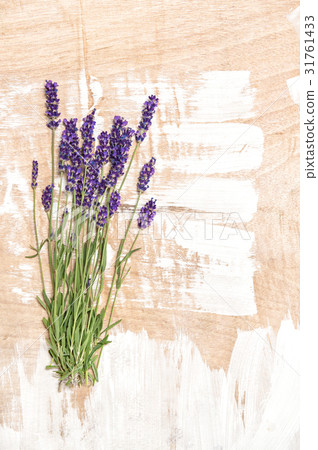 Lavender flowers Bunch of fresh blossoms Lavender flowers Bunch of fresh blossoms 31761433