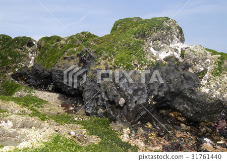 Croisoquimene Croisoquimene 31761440