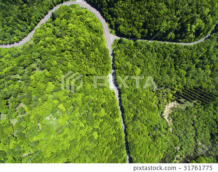 Nogido aerial photograph (true overview) 31761775