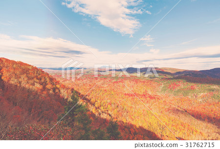 Blue Ridge Mountains in autumn in North Carolina Blue Ridge Mountains in autumn in North Carolina 31762715