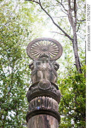 Asoka concrete pillar under tree shade Asoka concrete pillar under tree shade 31762907