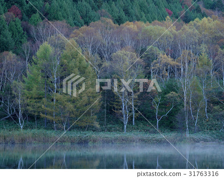 Morning of Shiga Kogen Kidoike Pond 31763316
