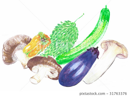 蔬菜的成分 31763376