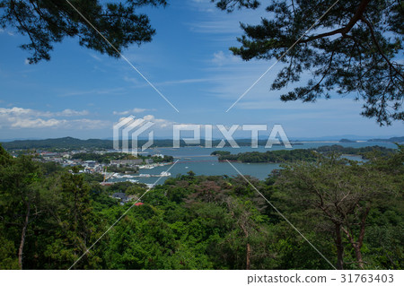 松島[2017_初夏] 31763403